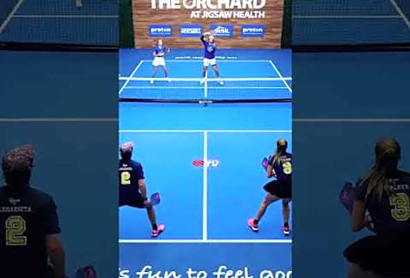 Some sophisticated shot selection #pickleball #pickleballislife #pickleballhighlights