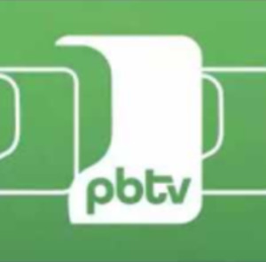 Malia Lum/Trang Huynh-McClain v Waters/Parenteau PPA Atlanta Open atteam...