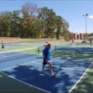 2017 Wolfe sports twin city pickleball invitational MDS 4.0