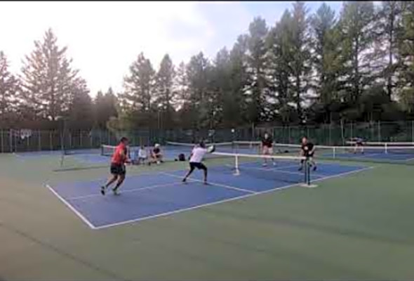 2020 Dinkers Pickleball League Championship