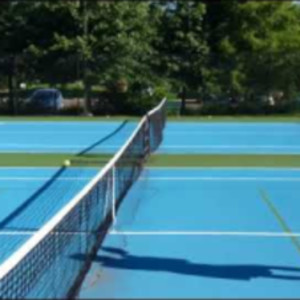 Demo Video: Topspin Backhand Half Volley Dink