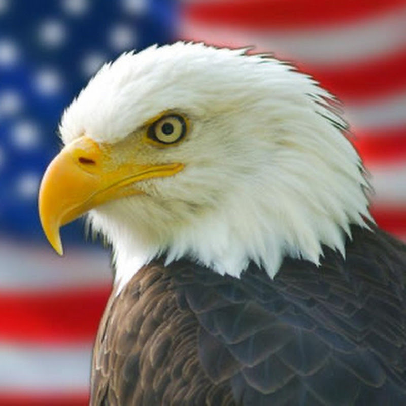 Shafqat Awan TV Pickleball Videos