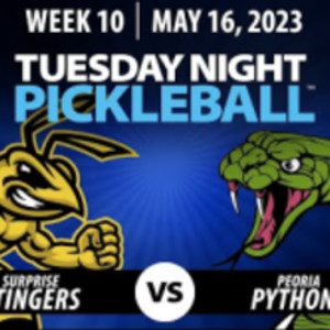 AZ PBL: Surprise Stingers vs Peoria Pythons (Tue May 16, Season 1, Week 10)