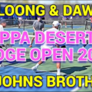 Johns Brothers in Mens Doubles Pro Pickleball Match, Carvana PPA Desert ...