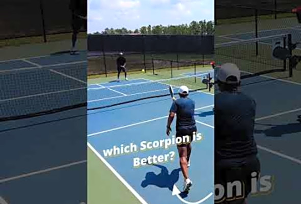 Venomous Pickleball Scorpion #pickleball #scorpion #scorpio #ball #mortal #mortalcombat
