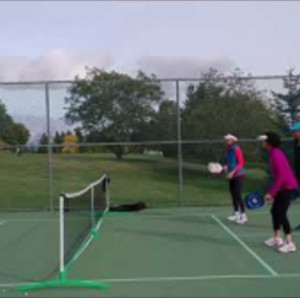 Pickleball Lesson 2. October, 2020