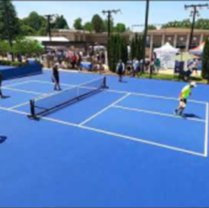 5/23/21 Atlanta Open Pickleball Mens Pro Doubles R5 Yates/Unicorn vs Far...