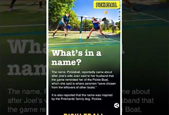 Pickleball Game - The modified &amp; improvised version#tennis#pickleball#games#sports#badminton