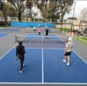 Bad Pickleball Pro Level Rec 5.5 Jessie Irvine Matt Baca Andre Feliz Luc...