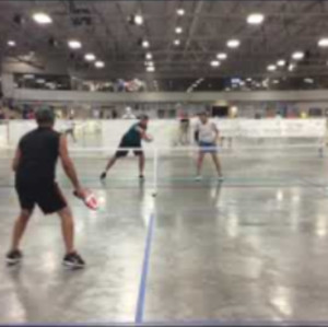 2018 Pickleball Fever in the Zoo/Great Lakes Regional - Mixed Doubles 4....