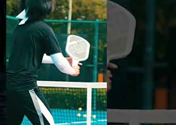 The Professor PHD Pickleball paddle