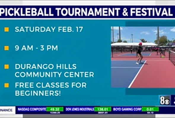 Pickleball tournament &amp; festival, beginners welcome