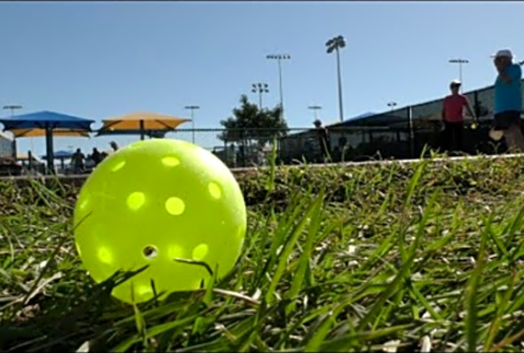 Pickleball C Champs 65