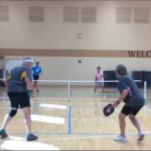 2018 Tampa Bay Active Life Games Pickleball Championships - Mixed Double...