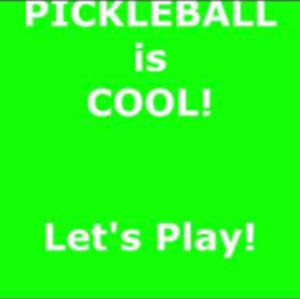 How fast is a pickleball game? Fast enough for me :)