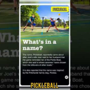 Pickleball Game - The modified &amp; improvised version#tennis#pickleball#ga...