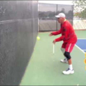 PICKLEBALL TRAINING WITHOUT A PARTNER, another episode of DINKS OF OUR L...