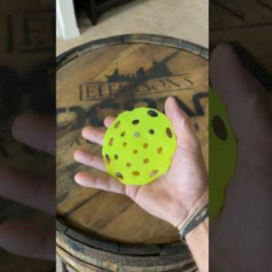 What Can You Do with Old Pickleballs? Save a Seal! #shorts #pickleball #...