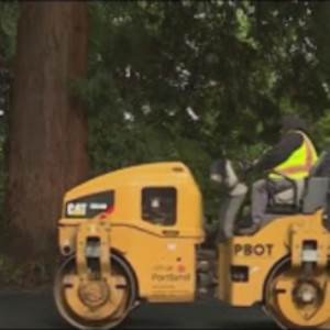 Pickleball to replace homeless camps at Laurelhurst Park