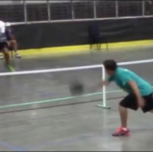 Fever in the Zoo Pickleball-5.0 GOLD MEDAL MATCH Men&#039;s Singles Rick Wits...