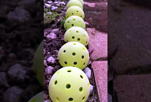 PLEASE RECYCLE YOUR PICKLEBALLS! Dont kill a Manatee! #pickleball #recycle #repurpose