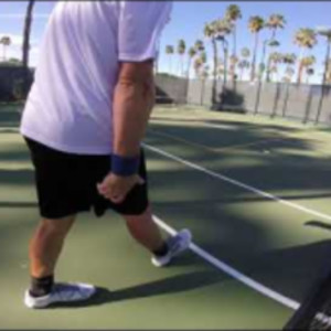 2019 Lakes Pickleball Tournament 5.0 Singles Tyson McGuffin vs Rob Davidson