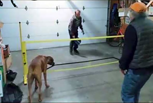 Playing Pickleball In The Garage