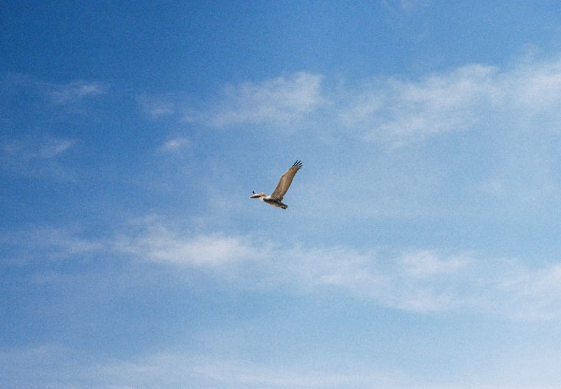 Photo in Los Angeles