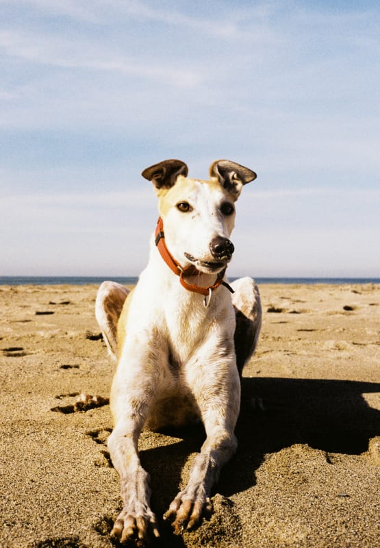 Photo in Los Angeles