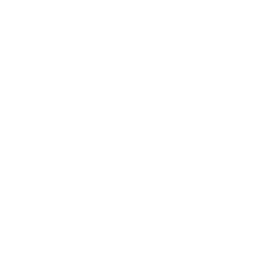 Inditex logo image