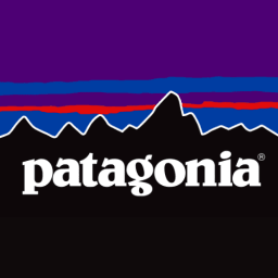 Patagonia logo image