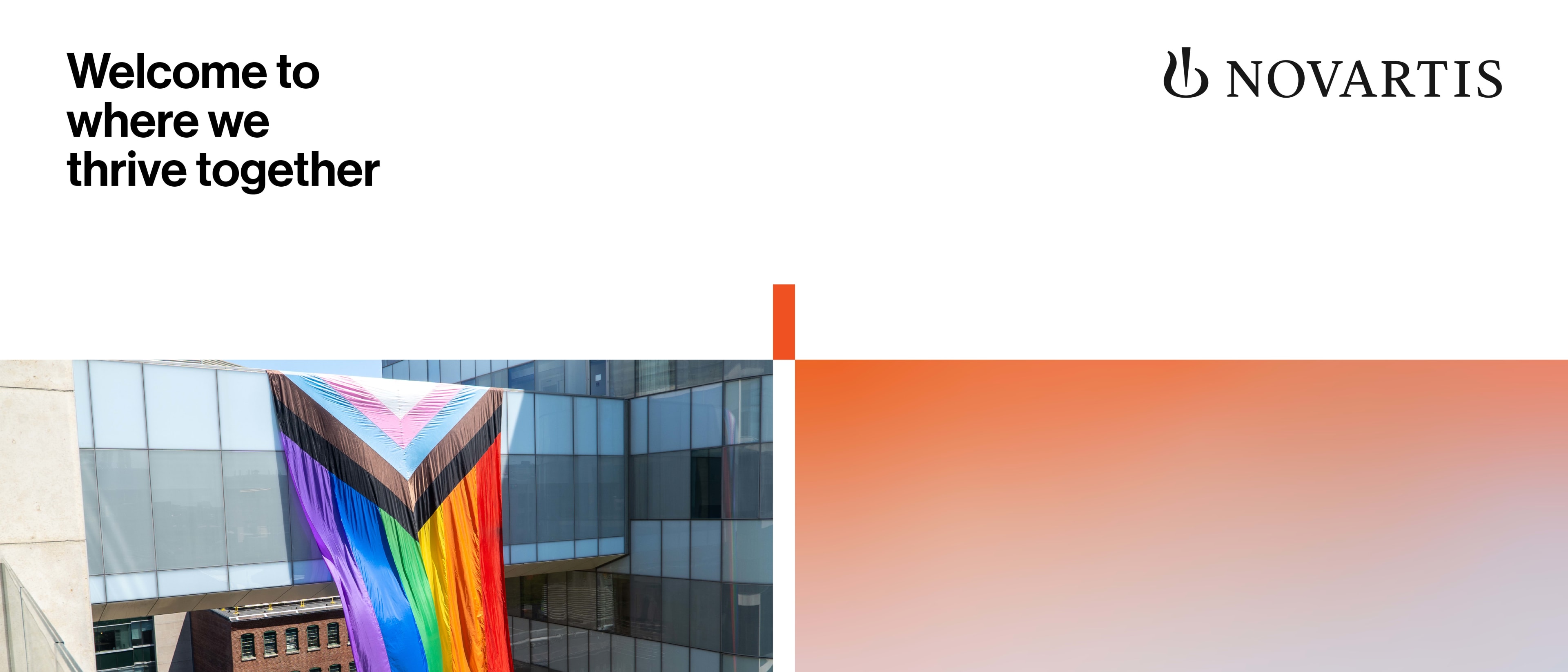Novartis cover image