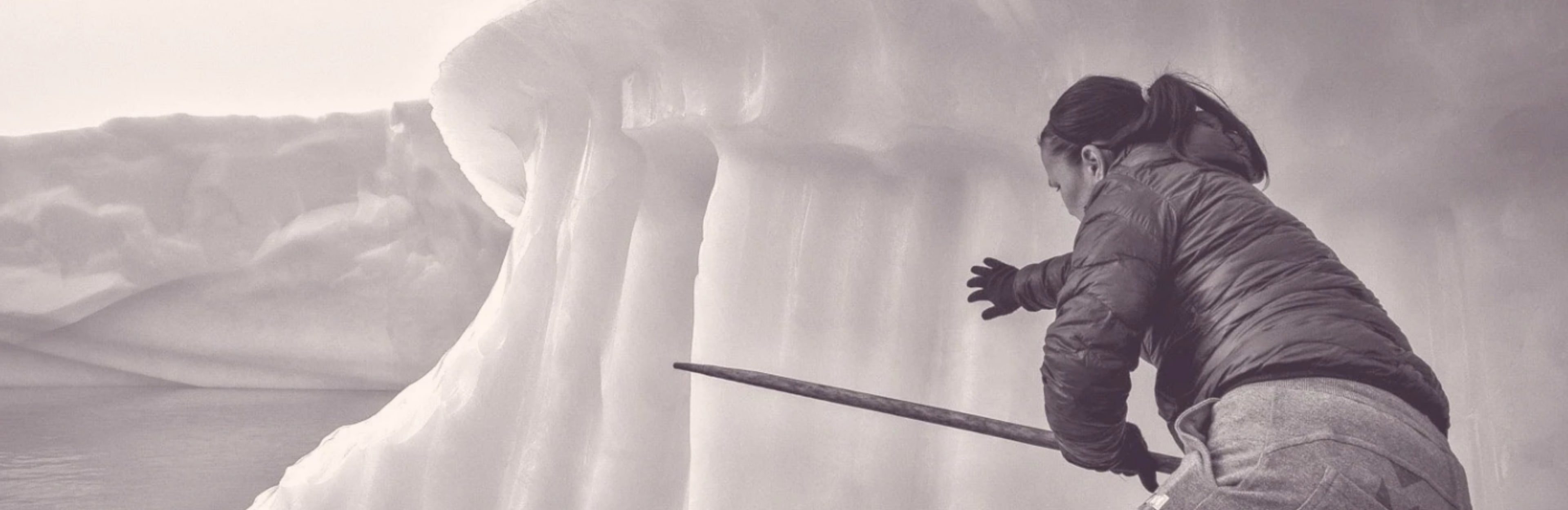 FILE cover image