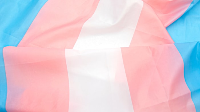 LGBTQ+ Lawmakers In 19 States Introduce Laws To Protect Trans Youth Seeking Medical Care