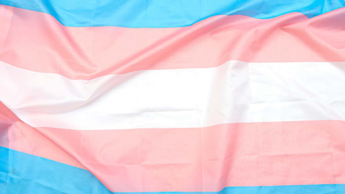 Trans MP Wants To Transition “As Quickly As Possible” As He Opens Up About Rape And Blackmail Plot