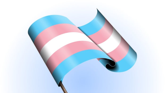 Tories “Spectacularly” Failed On Gender Law Reform And Should Move Towards Self-ID, Says Inquiry