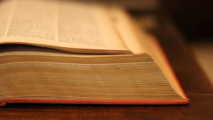 Dictionary.com’s Word Of The Year Is Woman – And It Includes Trans Women