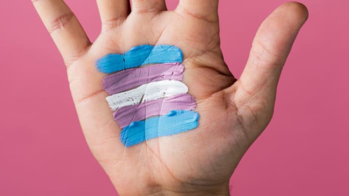 Teachers Need Clear Guidance About How To Deal With Trans Children, Nadhim Zahawi Says