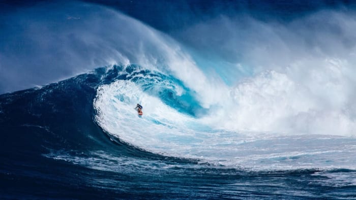 Trans Pro Surfer: “Trans Athletes Are Here To Stay”