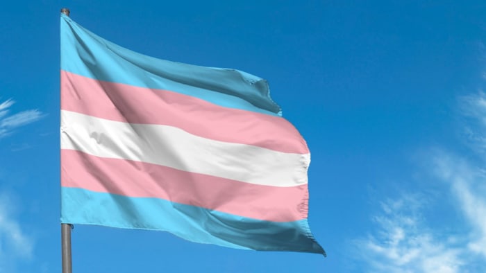 Jamie Wallis MP Comes Out As Trans And Speaks Of Rape Ordeal
