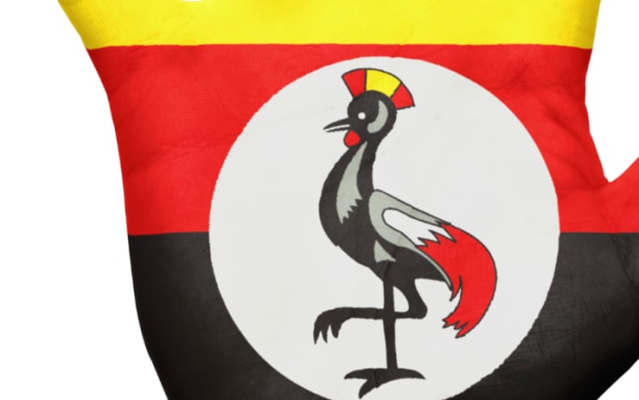 How sanctions on Uganda aim to undo anti-LGBTQ+ law