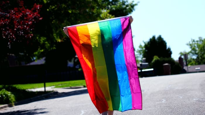 Rainbow Flag Waving Pitch Invader Disrupts World Cup Match