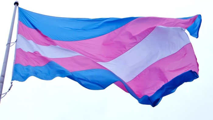 Court Orders University To Rehire Professor Who Was Fired For Being Trans