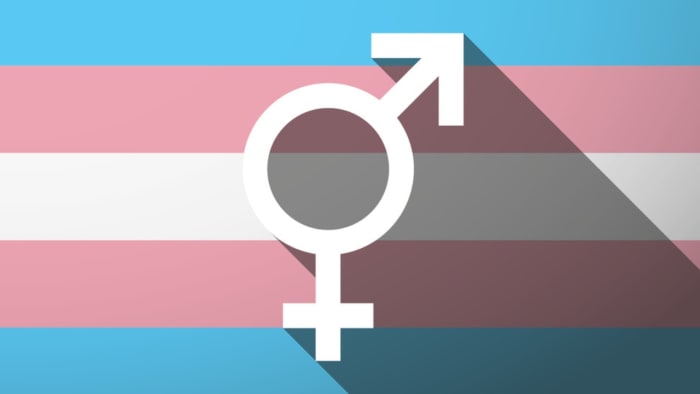 Democrats In 16 US States Pledge To Protect Trans Youth With New Legislation