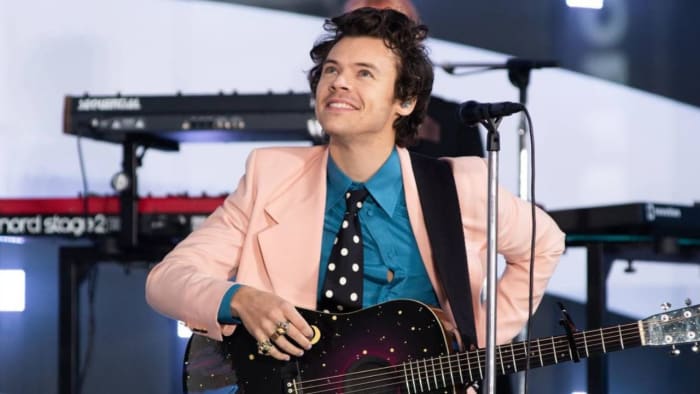 Harry Styles Suddenly Stopped Concert To Help A Fan Come Out To Her Mom