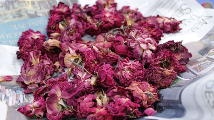 Trans Shelter Residents Are Upcycling Discarded Flowers To Fund Their Healthcare