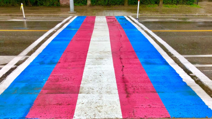 Survey Finds 80% Of LGBTQ+ People Want The Gender Recognition Act Reformed