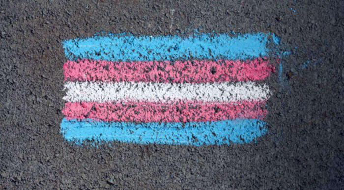 UK: Government Guidance For Trans Schools Promised By Christmas