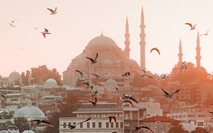 LGBTQ+ Inclusive Jobs in Istanbul