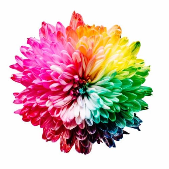 Meet Ppd’s Business Resource Groups